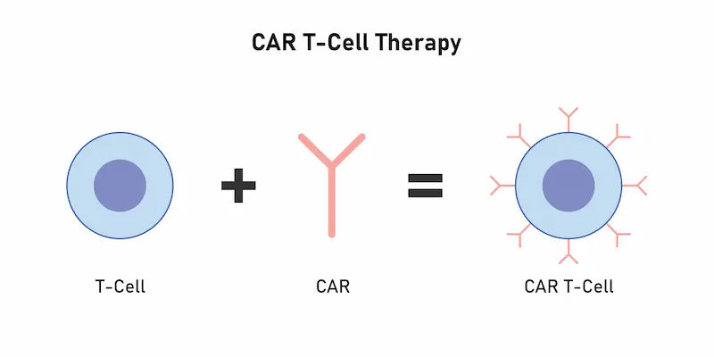 Car T Cell Therapy